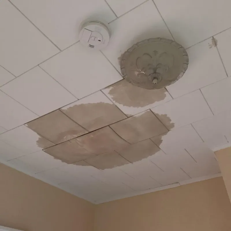 Ceiling Water Damage Repair in Toronto, OH