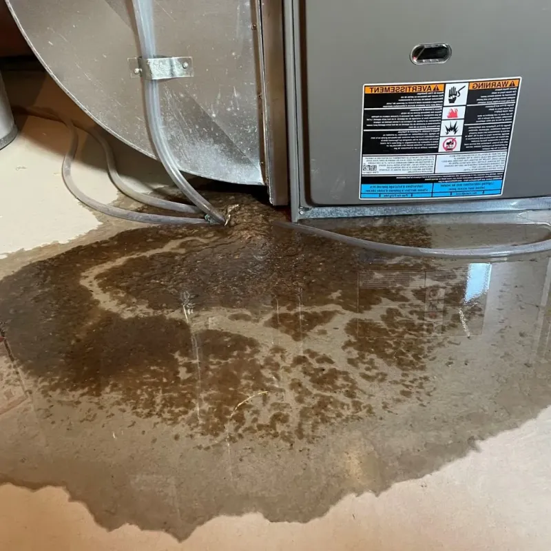 Pipe Burst and Leak Restoration in Toronto, OH